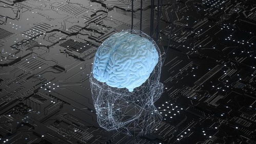 腦機(jī)接口 當(dāng)大腦與網(wǎng)絡(luò)相連，未來(lái)離我們還有多遠(yuǎn)？